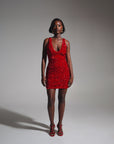 LEILA Mini Sequin Dress in RUBY